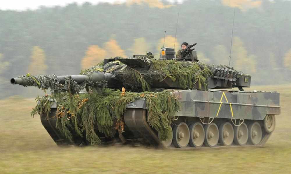 Leopard 1 Sahiel