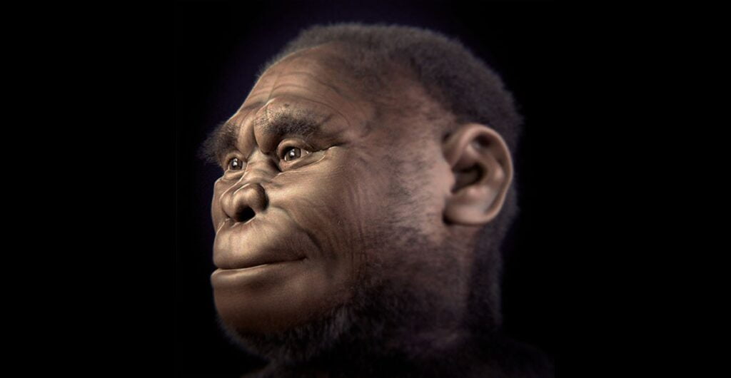 homo floresiensis Sahiel.gr